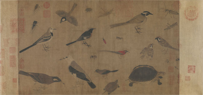 黄筌-写生珍禽图(全卷)绢本49x84cm